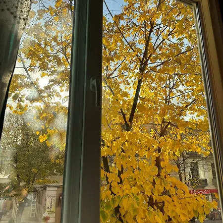 Center 2 아파트 *